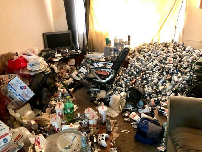 Room Reveal Madness: From Messy Dens to Surprisingly Chill Pads