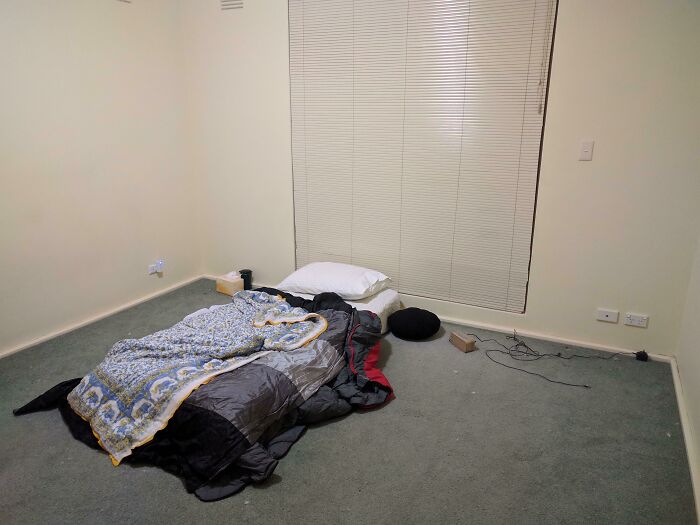 Room Reveal Madness: From Messy Dens to Surprisingly Chill Pads