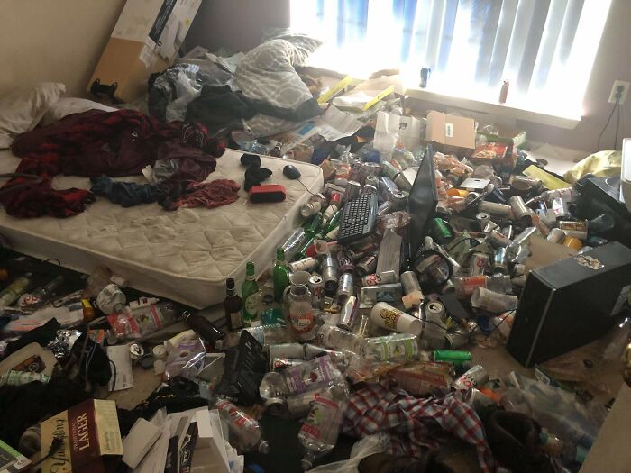 Room Reveal Madness: From Messy Dens to Surprisingly Chill Pads