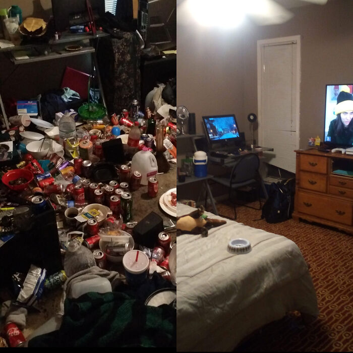 Room Reveal Madness: From Messy Dens to Surprisingly Chill Pads