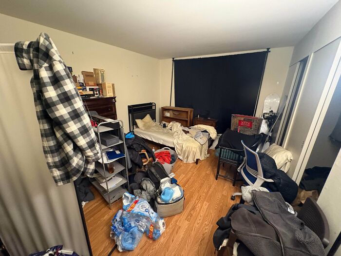 Room Reveal Madness: From Messy Dens to Surprisingly Chill Pads