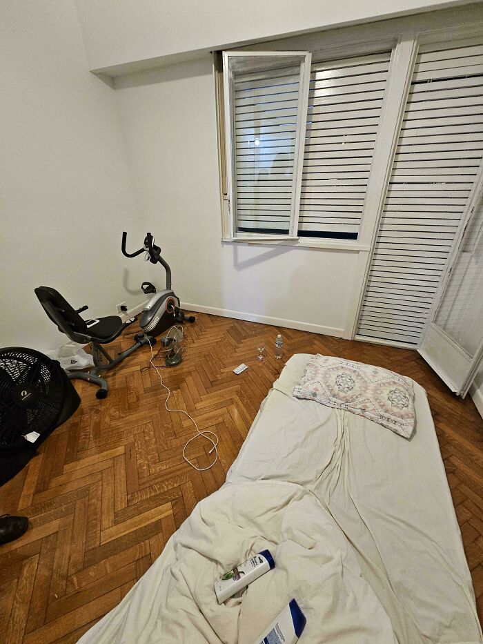Room Reveal Madness: From Messy Dens to Surprisingly Chill Pads