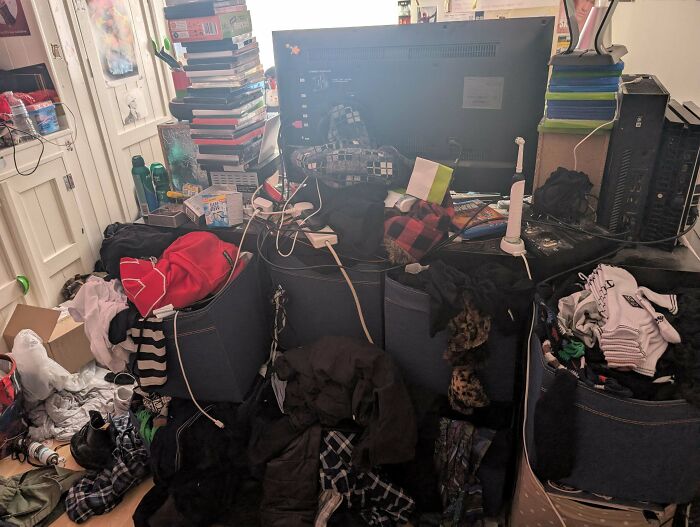 Room Reveal Madness: From Messy Dens to Surprisingly Chill Pads