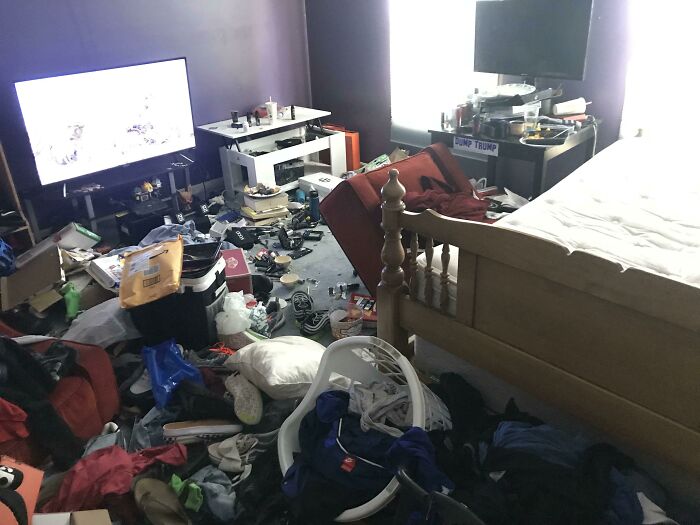 Room Reveal Madness: From Messy Dens to Surprisingly Chill Pads