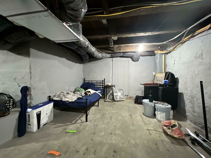 Room Reveal Madness: From Messy Dens to Surprisingly Chill Pads