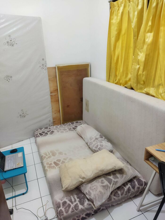 Room Reveal Madness: From Messy Dens to Surprisingly Chill Pads