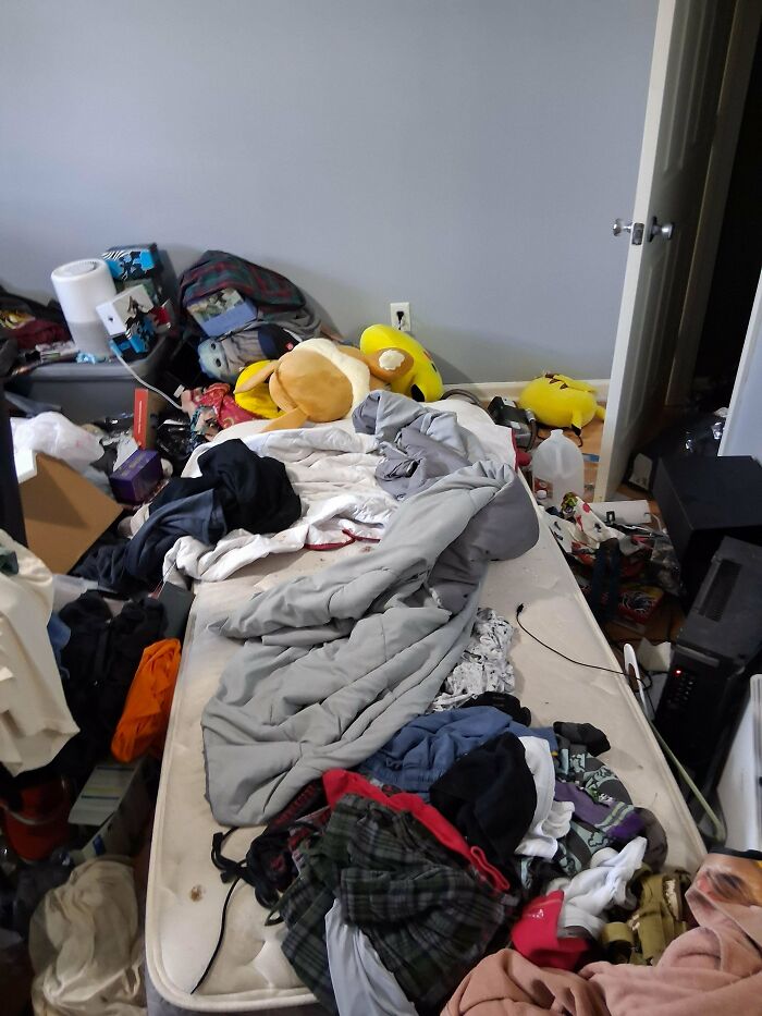 Room Reveal Madness: From Messy Dens to Surprisingly Chill Pads