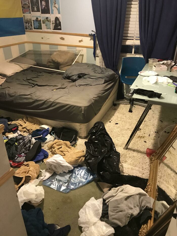 Room Reveal Madness: From Messy Dens to Surprisingly Chill Pads