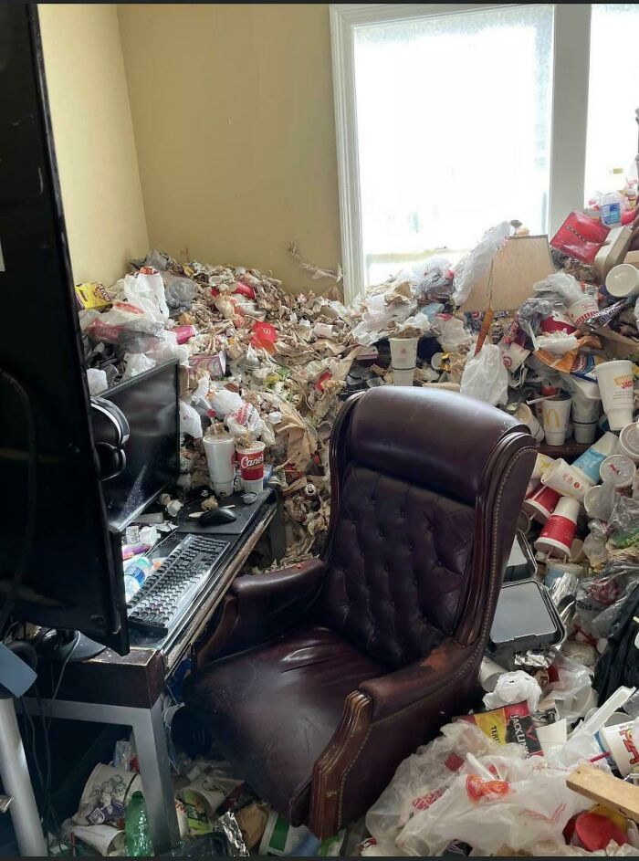 Room Reveal Madness: From Messy Dens to Surprisingly Chill Pads