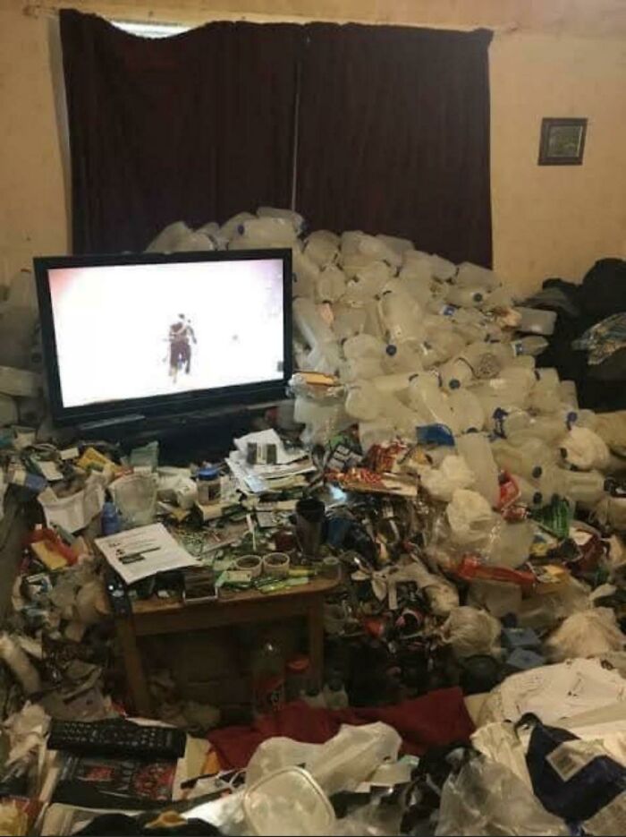 Room Reveal Madness: From Messy Dens to Surprisingly Chill Pads
