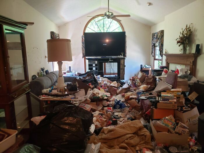 Room Reveal Madness: From Messy Dens to Surprisingly Chill Pads