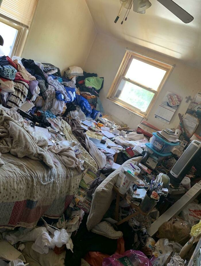 Room Reveal Madness: From Messy Dens to Surprisingly Chill Pads