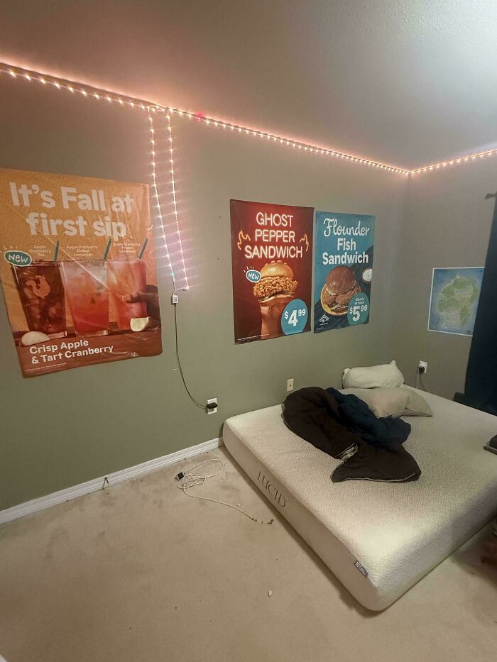 Room Reveal Madness: From Messy Dens to Surprisingly Chill Pads