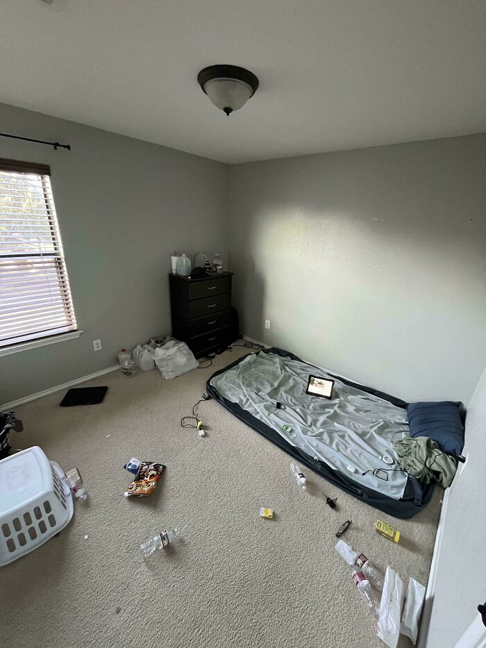 Room Reveal Madness: From Messy Dens to Surprisingly Chill Pads