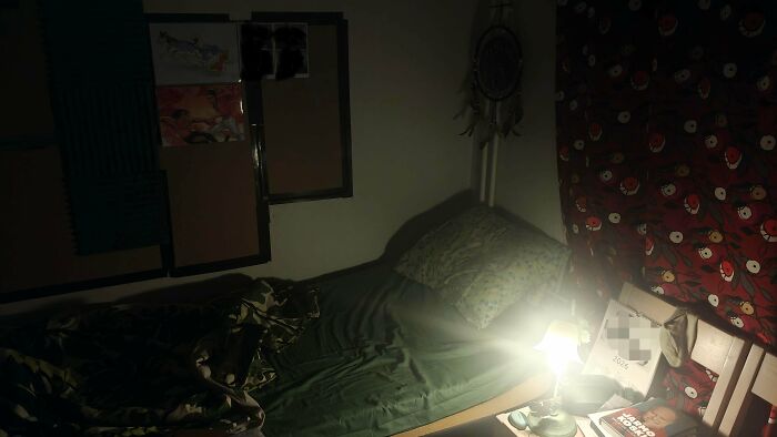 Room Reveal Madness: From Messy Dens to Surprisingly Chill Pads