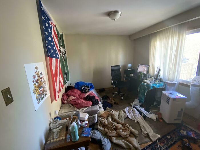 Room Reveal Madness: From Messy Dens to Surprisingly Chill Pads