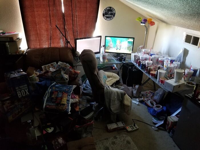 Room Reveal Madness: From Messy Dens to Surprisingly Chill Pads