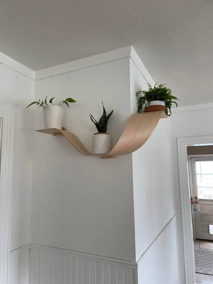 Playing Around With Curved Shelf Designs