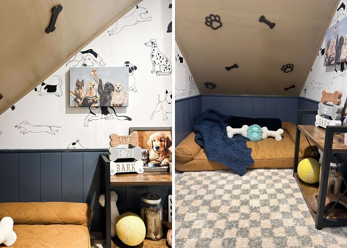 Made My Dog His Own Swanky Room Under the Stairs