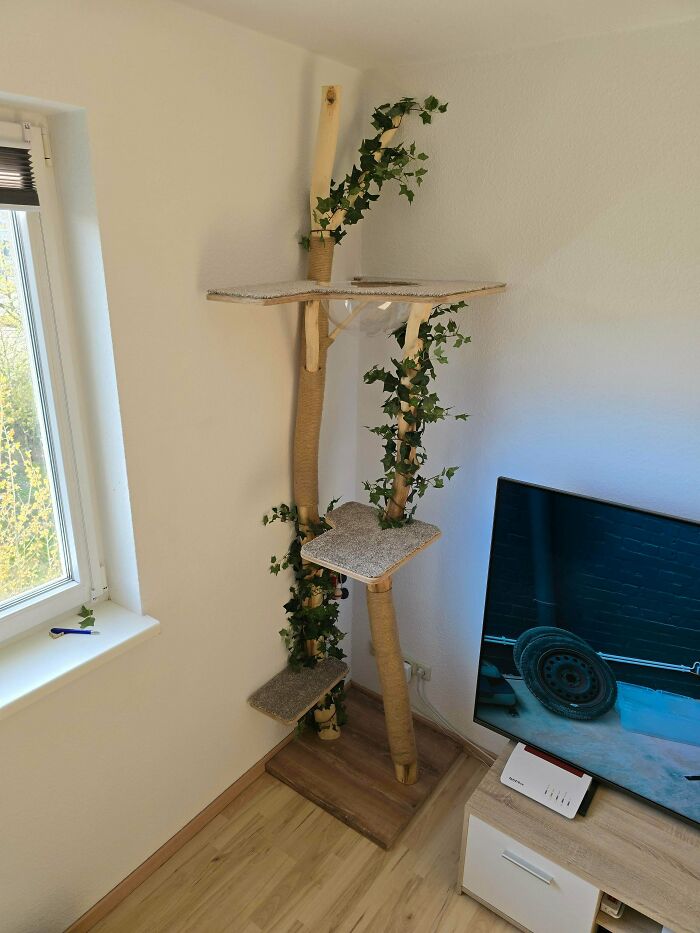 My Very First Real Wood DIY Cat Tree