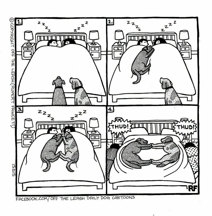 31 Hilarious New Dog Comics You Didn't Know You Needed