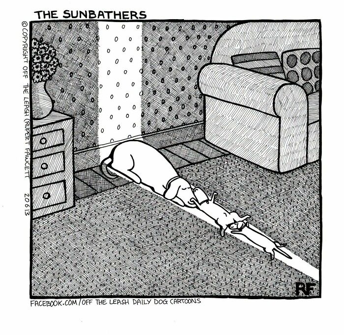 31 Hilarious New Dog Comics You Didn't Know You Needed