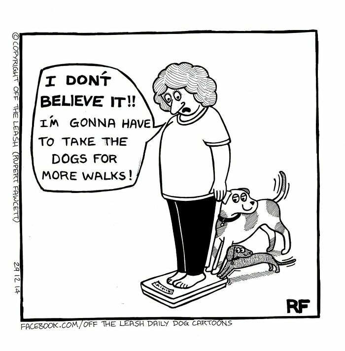 31 Hilarious New Dog Comics You Didn't Know You Needed