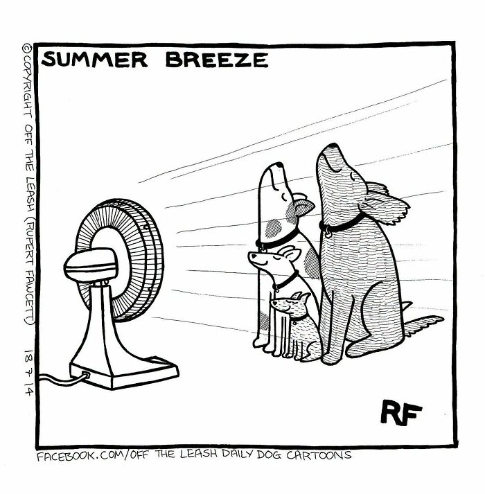 31 Hilarious New Dog Comics You Didn't Know You Needed