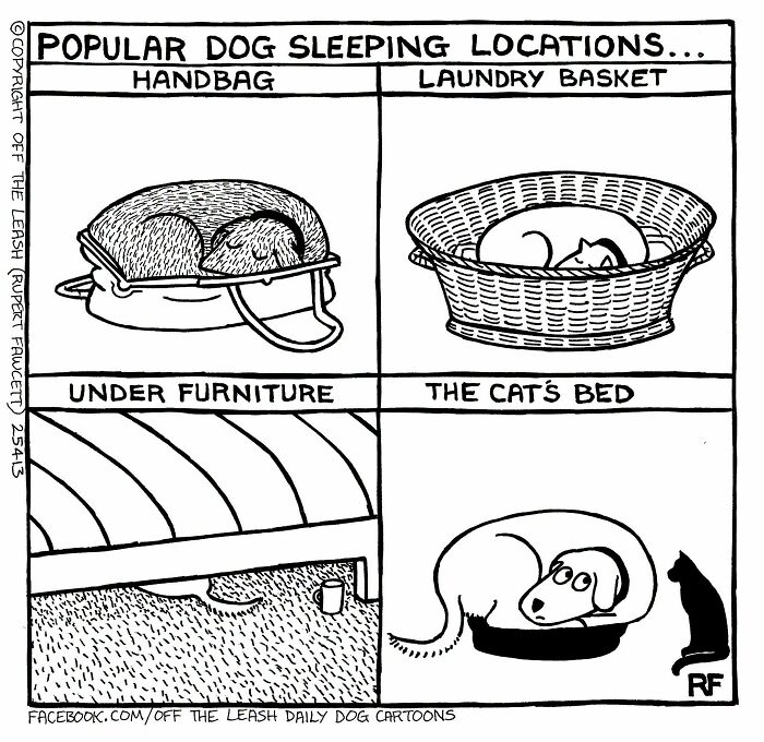 31 Hilarious New Dog Comics You Didn't Know You Needed