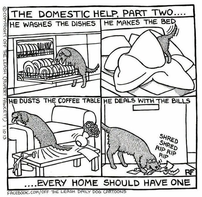 31 Hilarious New Dog Comics You Didn't Know You Needed