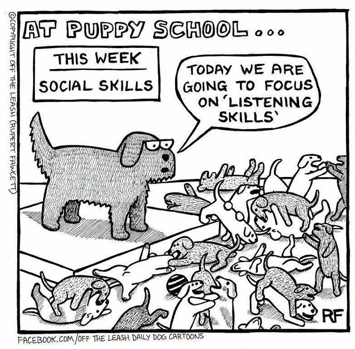 31 Hilarious New Dog Comics You Didn't Know You Needed