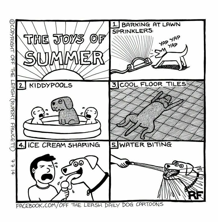 31 Hilarious New Dog Comics You Didn't Know You Needed