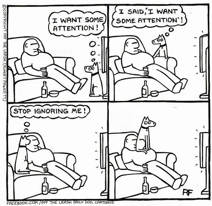 31 Hilarious New Dog Comics You Didn't Know You Needed