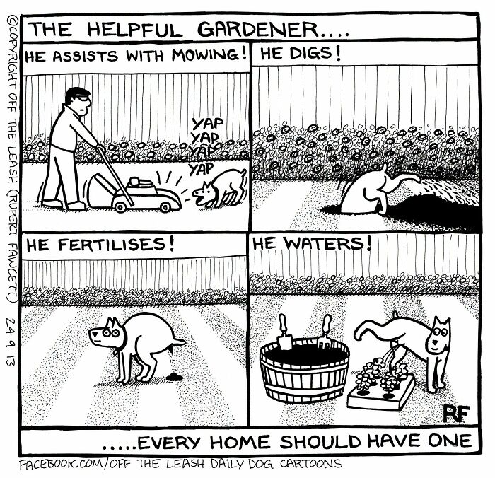 31 Hilarious New Dog Comics You Didn't Know You Needed
