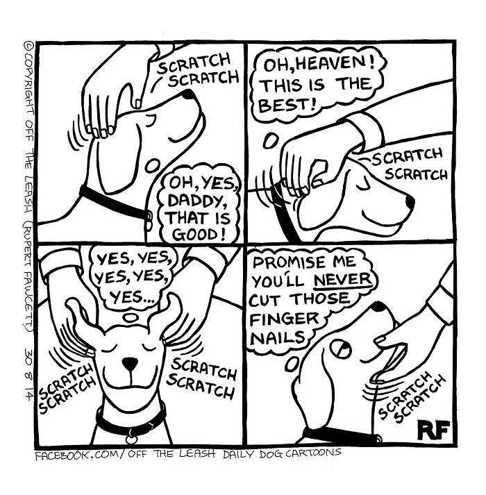 31 Hilarious New Dog Comics You Didn't Know You Needed