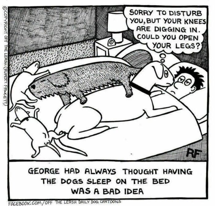31 Hilarious New Dog Comics You Didn't Know You Needed