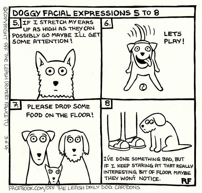 31 Hilarious New Dog Comics You Didn't Know You Needed