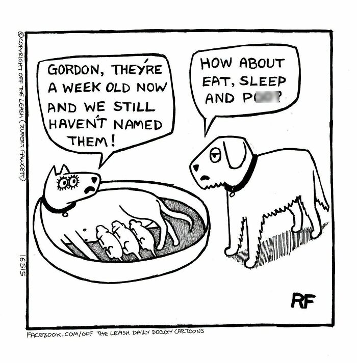 31 Hilarious New Dog Comics You Didn't Know You Needed