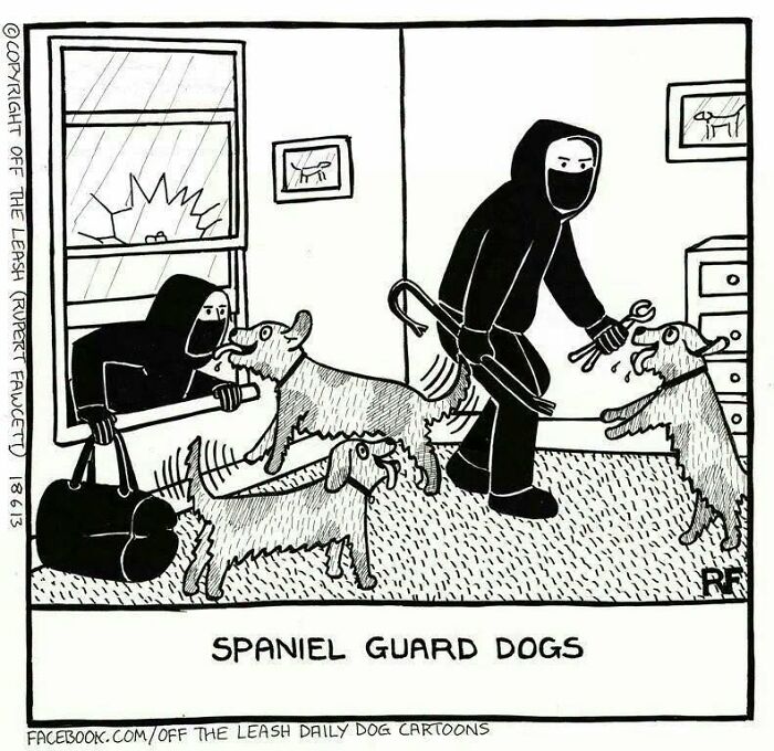 31 Hilarious New Dog Comics You Didn't Know You Needed
