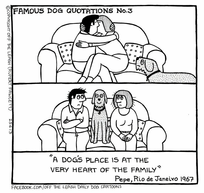 31 Hilarious New Dog Comics You Didn't Know You Needed