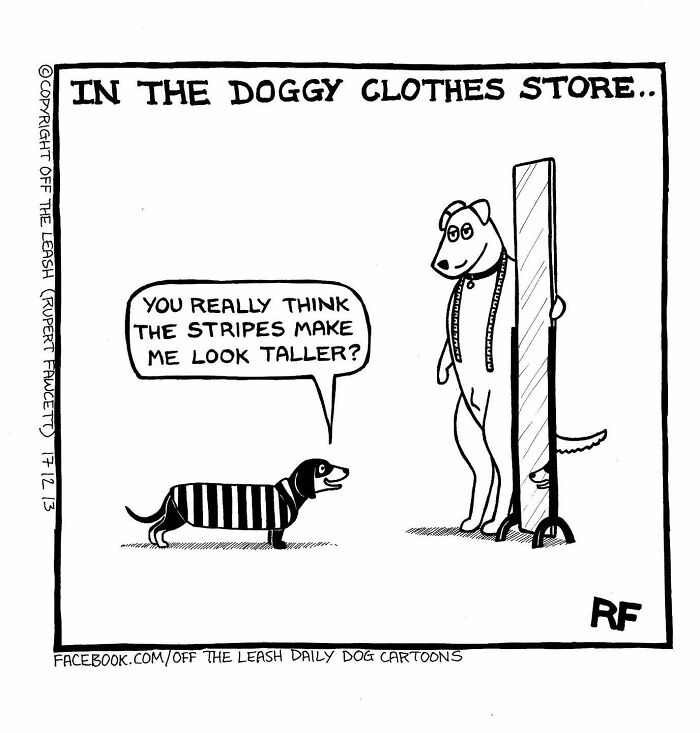 31 Hilarious New Dog Comics You Didn't Know You Needed