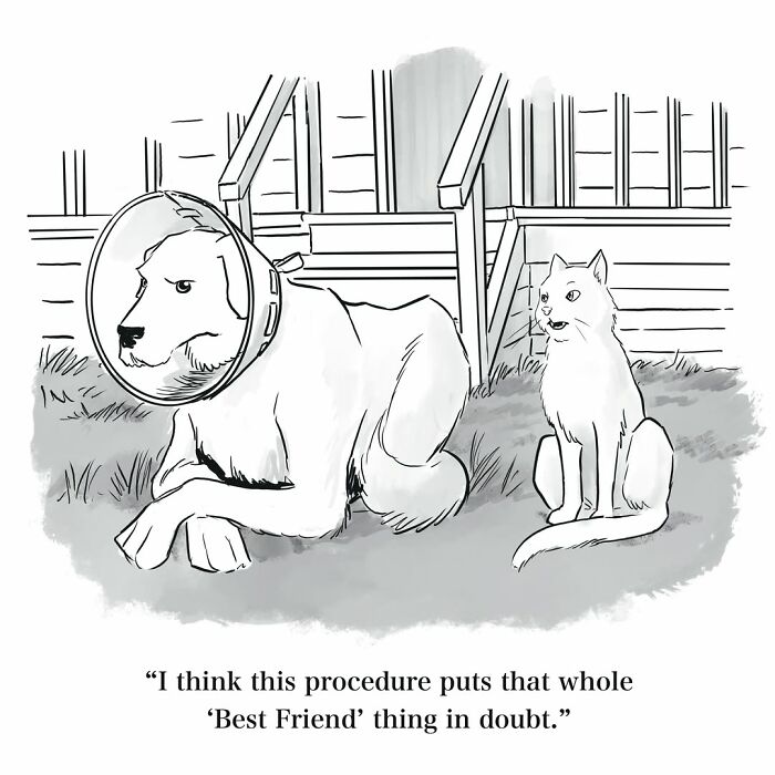 Wait, They Actually Drew THAT? 75 Hilariously Weird One-Panel Comics To Make Your Day