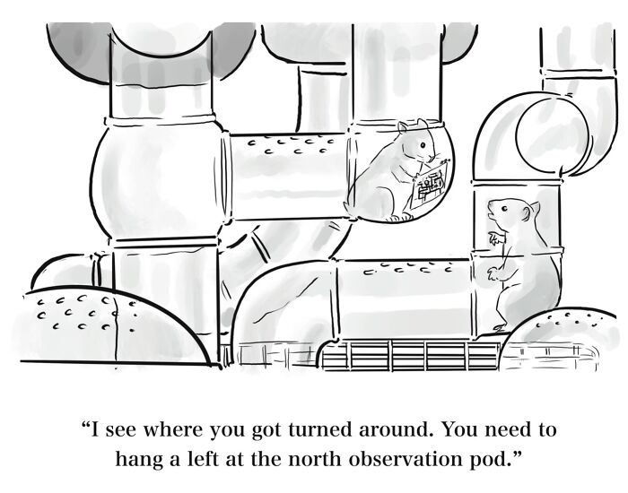 Wait, They Actually Drew THAT? 75 Hilariously Weird One-Panel Comics To Make Your Day
