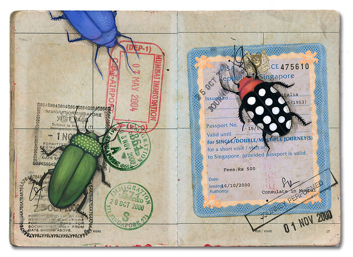 This Artist Turned Her Dad’s Old Passport Into a Memory Treasure Chest!
