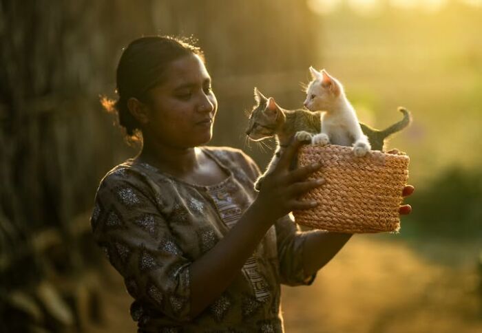 Wait, They Actually Ranked That?! 24 Street Cats From India That Will Totally Charm Your Socks Off