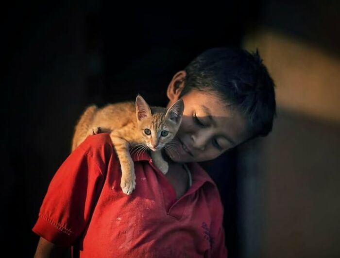 Wait, They Actually Ranked That?! 24 Street Cats From India That Will Totally Charm Your Socks Off