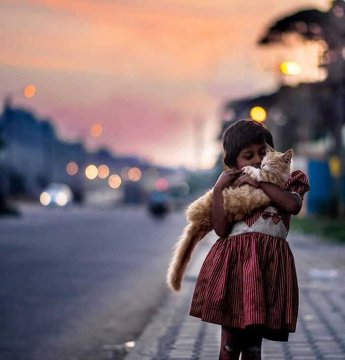 Wait, They Actually Ranked That?! 24 Street Cats From India That Will Totally Charm Your Socks Off