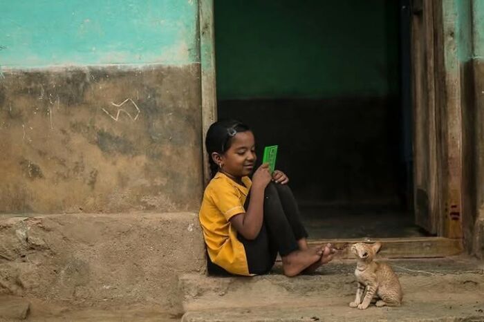 Wait, They Actually Ranked That?! 24 Street Cats From India That Will Totally Charm Your Socks Off