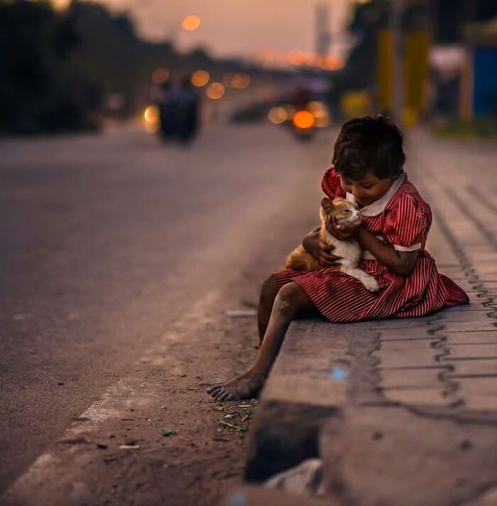 Wait, They Actually Ranked That?! 24 Street Cats From India That Will Totally Charm Your Socks Off