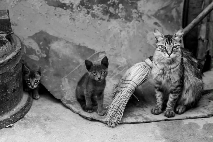 40 Street Photos That Totally Surprise You Around Every Corner